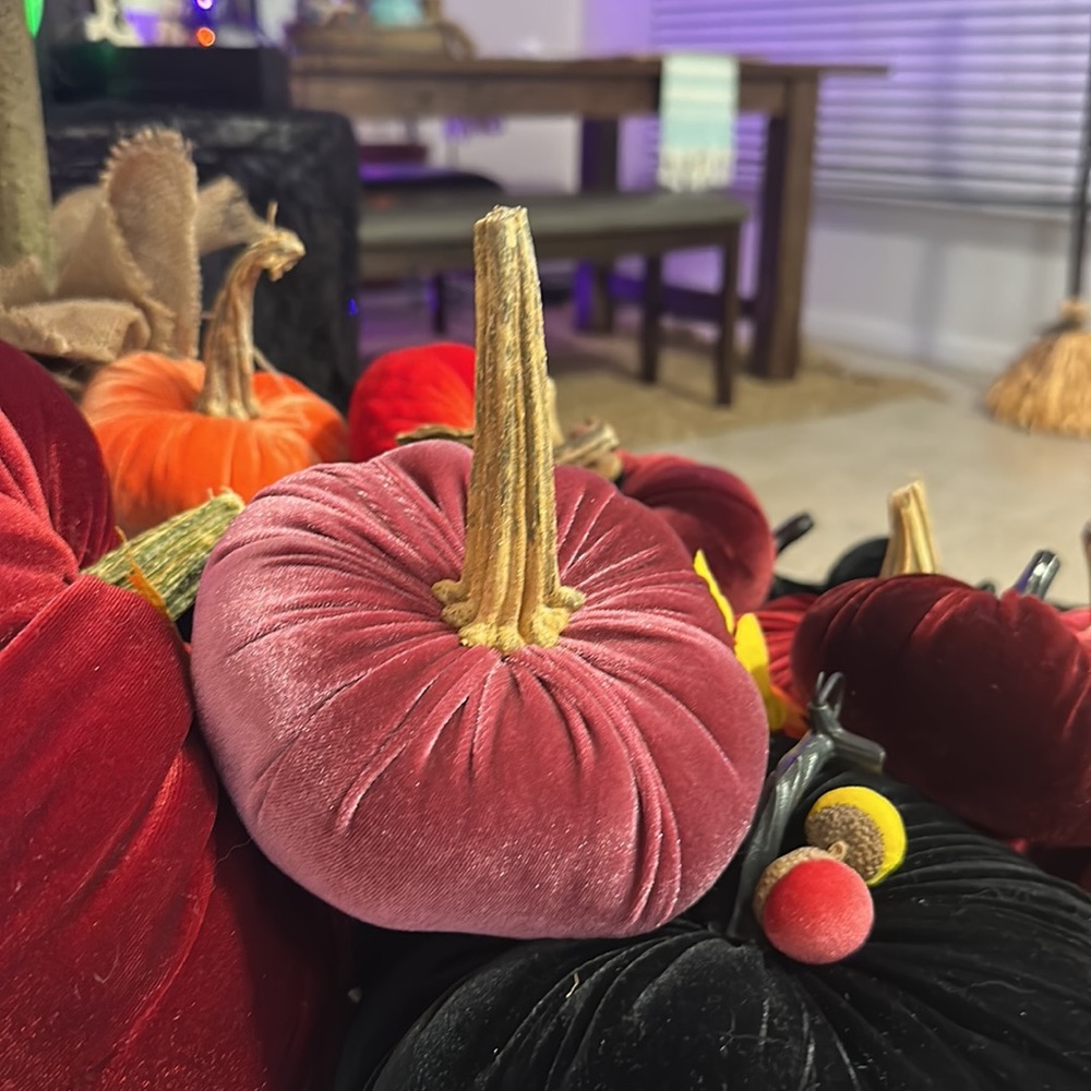 Velvet Pumpkins. - Picture 6 of 13